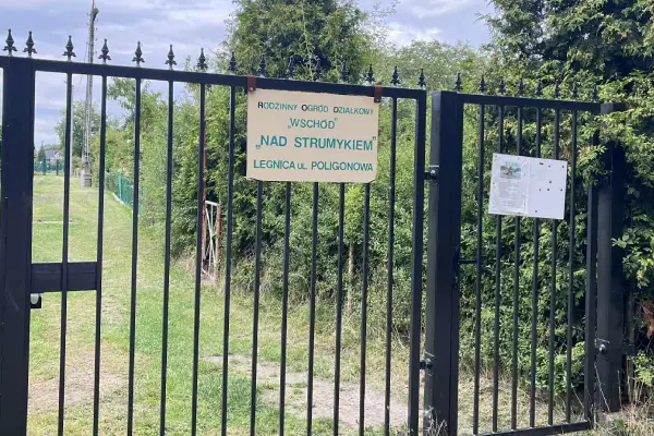 rod wschod nad strumykiem